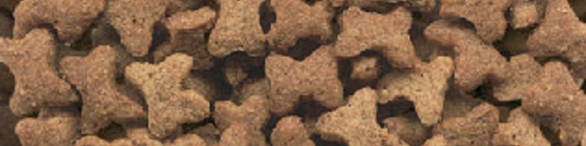 Dog Snacks and Treats