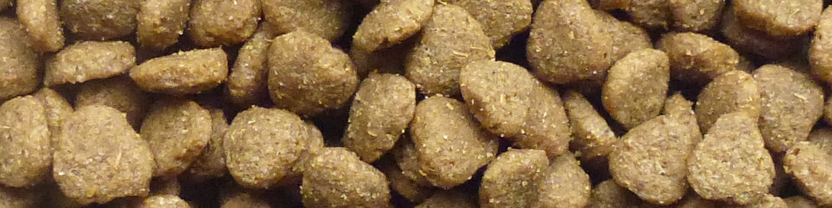 Natural Dog Food